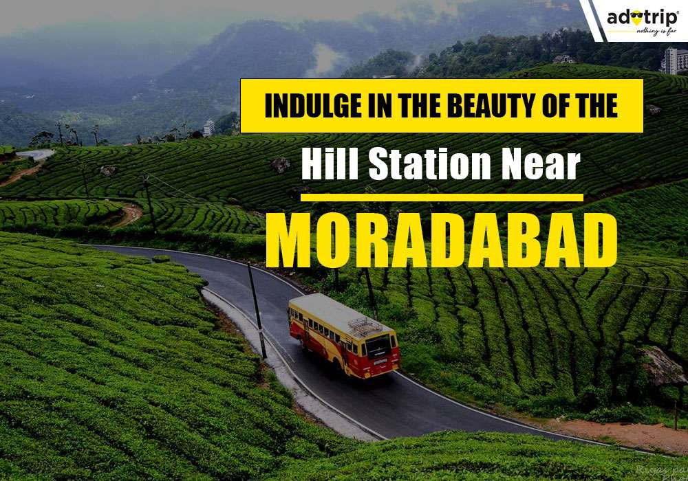 15 Most Famous hill station near moradabad